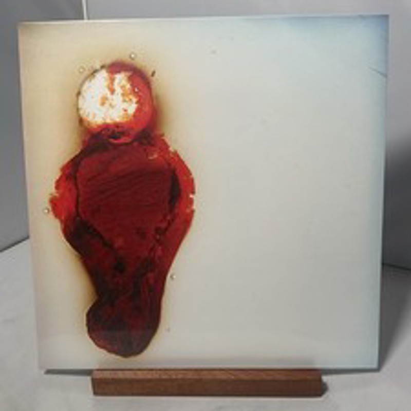 cardinal